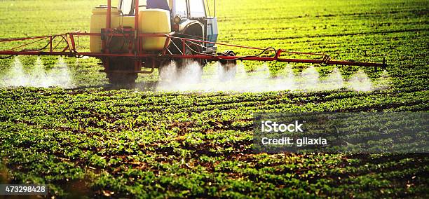 Pesticide Treatment Stock Photo - Download Image Now - Crop Sprayer, Insecticide, Spraying