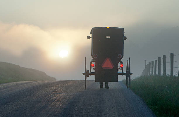 Into the Morning Fog A horse drawn buggy on a rural road into a fog bank that is partially excluding the morning sun amish photos stock pictures, royalty-free photos & images