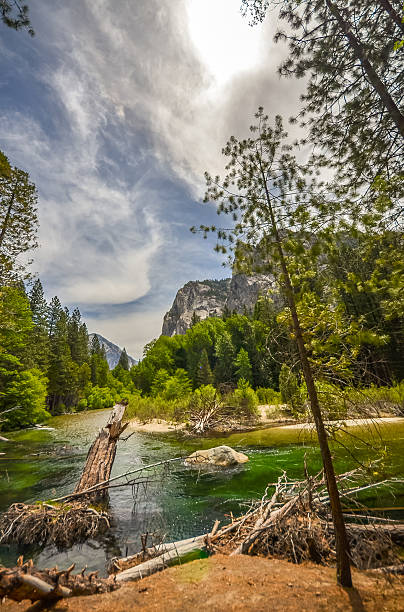 istock Kings river in Sequoia national park, California. 473300872