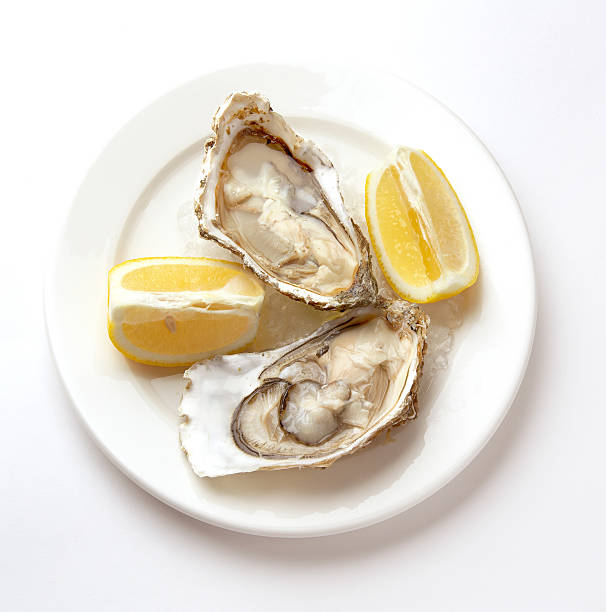 istock Oysters in ice on a white plate 473303914