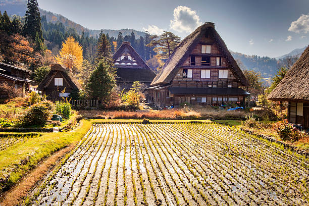 traditional and historical japanese village ogimachi - shirakawa - hida bergketen stockfoto's en -beelden