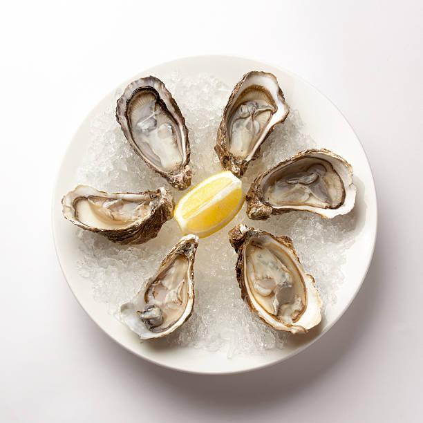 istock Oysters in ice on a white plate 473308972