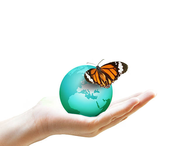 istock Earth on human hand and butterfly 473309020
