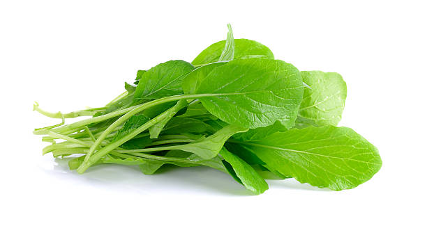 istock fresh green turnip on the  white background 473311128