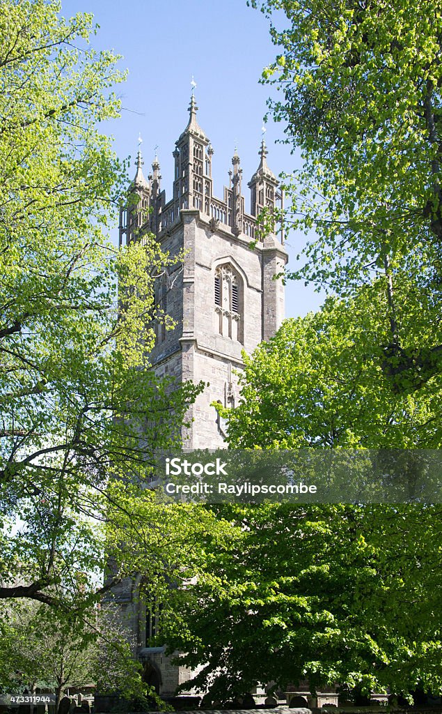 The Church of St Mary the Virgin in Thornbury The tower of Church of St Mary the Virgin in Thornbury viewed through trees Henry VIII Of England Stock Photo