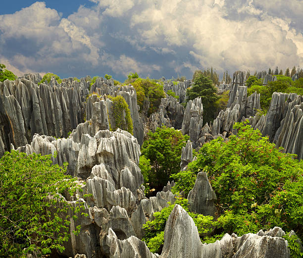 Stone forest Shi Lin. National park in Yunnan province, China stock photo