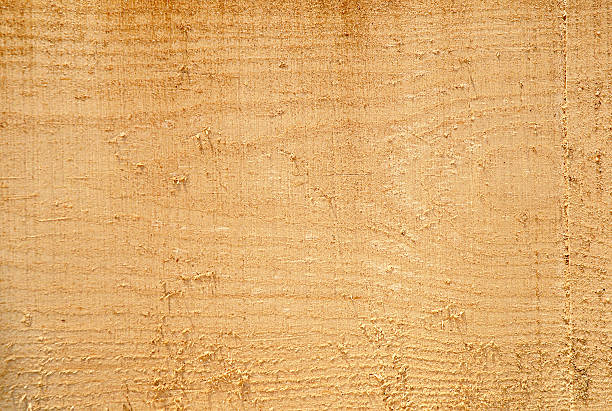 istock Texture of freshly sawn wood, background, closeup 473320816
