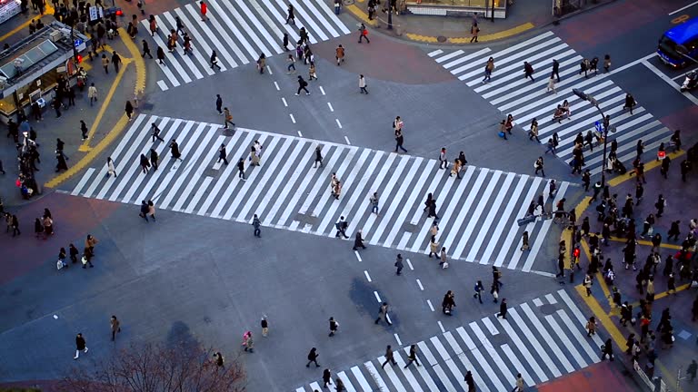 City Pedestrian Traffic Shibuya Tokyo