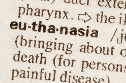 Diccionario de la definición de la palabra sobre la eutanasia photo