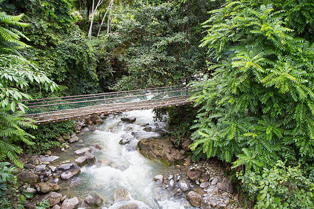 istock Poring Hot Spring, Sabah, Borneo Malaysia 473336828
