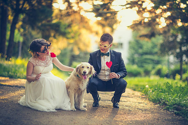 felice coppia di sposi - hairstyle love wedding photography foto e immagini stock