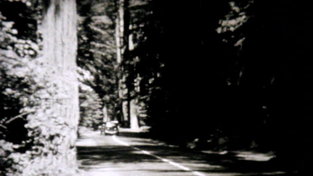 Cars Driving Through Redwood Forest-1940 Vintage 8mm film
