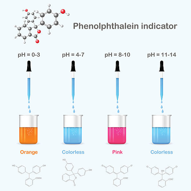 Forms of phenolphthalein in solutions with different pH vector art illustration