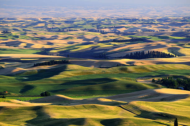istock sunset view of Palouse 473349876