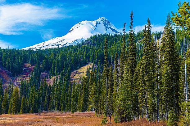 istock Mount Hood in Oregon 473351400