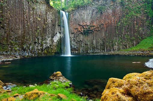 Water falls over a cliff of columnar basalt surrounded by lush foliage in the Pacific Northwest. Abiqua Falls in the Cascade range, Oregon. 