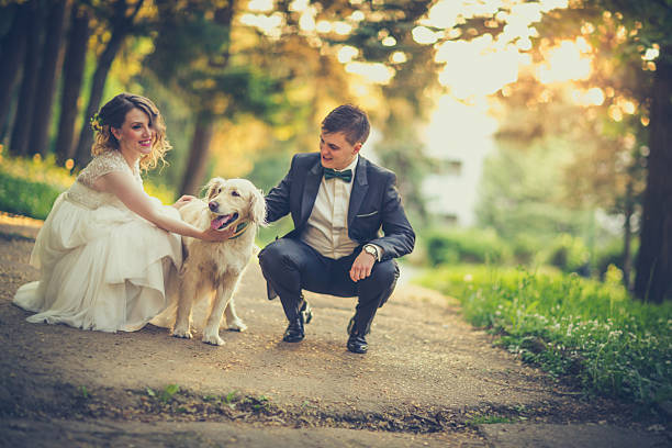 feliz casal de casamento - hairstyle love wedding photography imagens e fotografias de stock