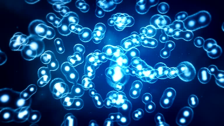 Biologi