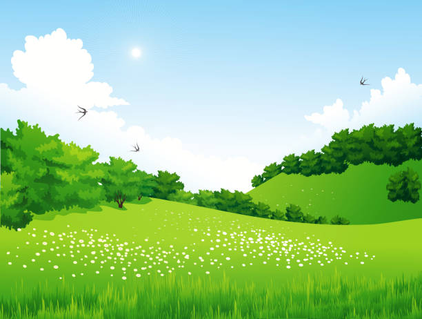 illustrazioni stock, clip art, cartoni animati e icone di tendenza di verde paesaggio con alberi, nuvole, fiori - prato