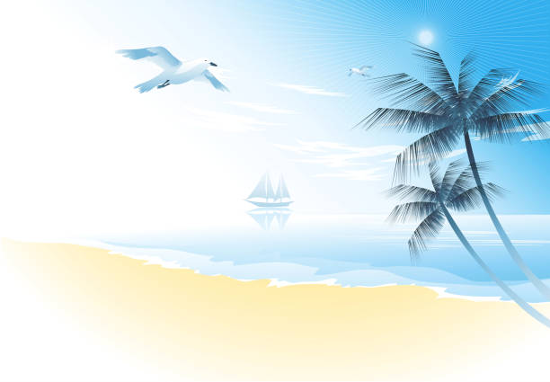 illustrazioni stock, clip art, cartoni animati e icone di tendenza di estate spiaggia con palme - horizon over water transportation sailing hawaii islands