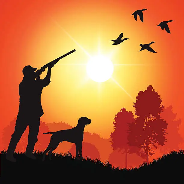 Vector illustration of A silhouette of a duck hunter with a dog at sunset 