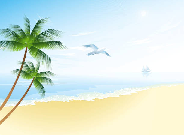 illustrazioni stock, clip art, cartoni animati e icone di tendenza di estate spiaggia con palme - horizon over water transportation sailing hawaii islands