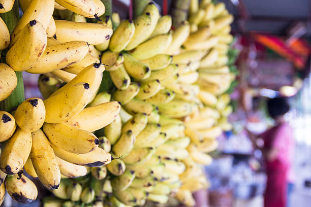 golden banana - healthy eating profile tropical fruit fruit imagens e fotografias de stock