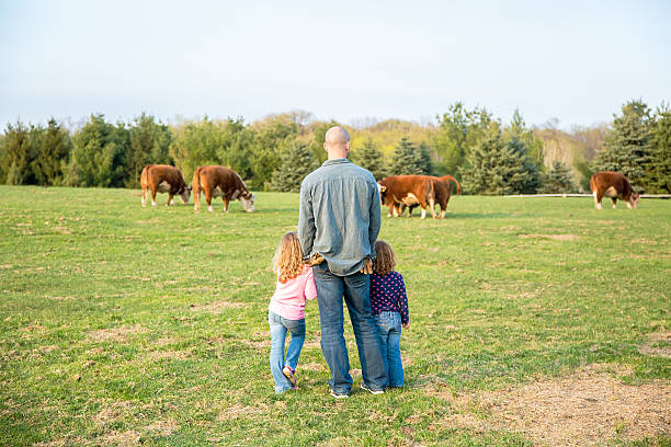 Rear view of two young girls helping Dad check on the cows in the pasture to see if they are getting close to calving. Both girls are leaning on Dad's legs as they look at the cows.
