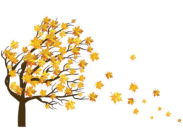 Autumn maple leaves background vector art illustration