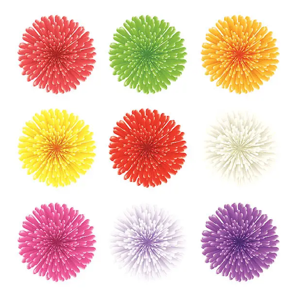 Vector illustration of Set of Chrysanthemum