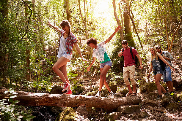 istock Friends in a forest having fun balancing on a tree trunk 473420346