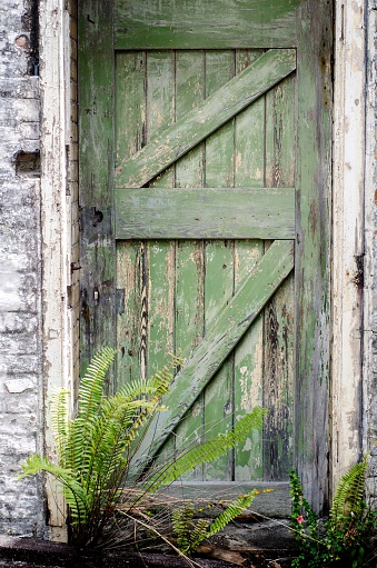 old green door in rustic dirty abandoned setting
