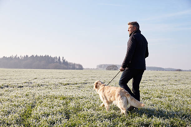 Mature Man Walking Dog In Frosty Landscape Mature Man Walking Dog In Frosty Landscape mature adult walking dog stock pictures, royalty-free photos & images