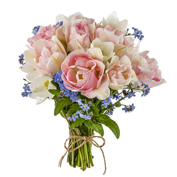 букет тюльпанов и незабудка, изолированные на белом фоне - close up flower high contrast spring стоковые фото и изображения