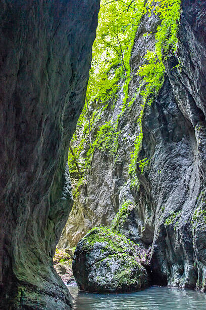 istock Canyon Rzav in Serbia 473426298