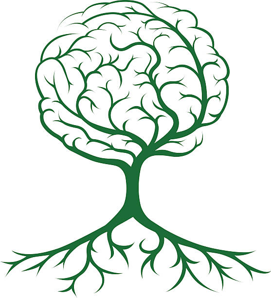 Tree brain concept Brain tree concept of a tree growing in the shape of a human brain. Could be a concept for ideas or inspiration roots clip art stock illustrations