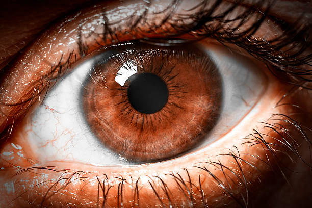istock Brown human eye extreme macro shot 473431030