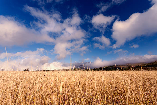 istock Low angle view on the mountain at idyllic sunny day 473432794