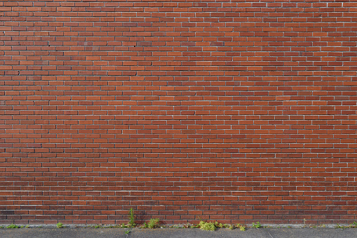 An aging brick wall suitable for backgrounds and abstracts, includes a stretch of sidewalk and weeds.