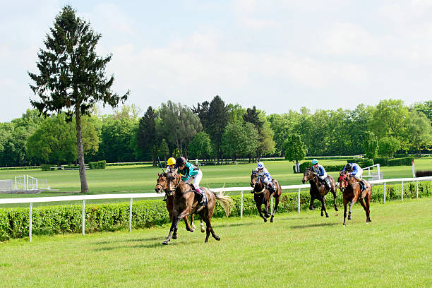 Racehorses doing warm-up laps in the paddock with their groomer before the race in Tjk Antalya Hipodrom.