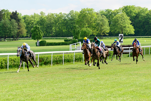 Wroclaw, Poland - May 10, 2015: Finish the race for 3-year-old horses only group III in Wroclaw. This is an annual race on the Partynice track open to the public.