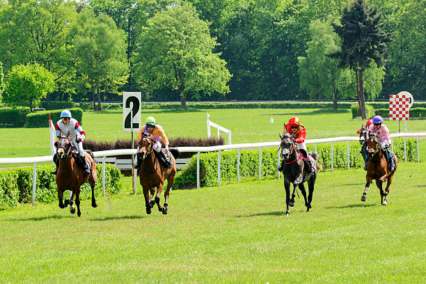 Wroclaw, Poland - May 10, 2015: Finish the race for 3-year-old horses only group II in Wroclaw. This is an annual race on the Partenice track open to the public.