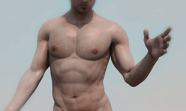 istock male body and muscles with sunlight 473440936