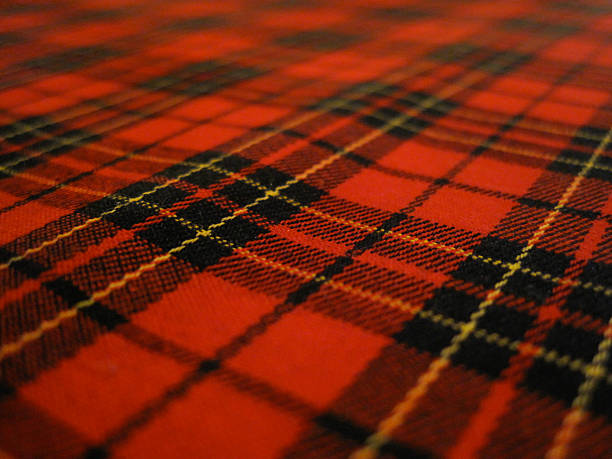 Scottish Textile Pattern Scottish Textile Pattern sporran stock pictures, royalty-free photos & images