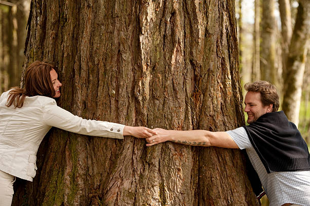 istock Couple embracing sequioa tree, Gorenjska, Slovenia 473442356