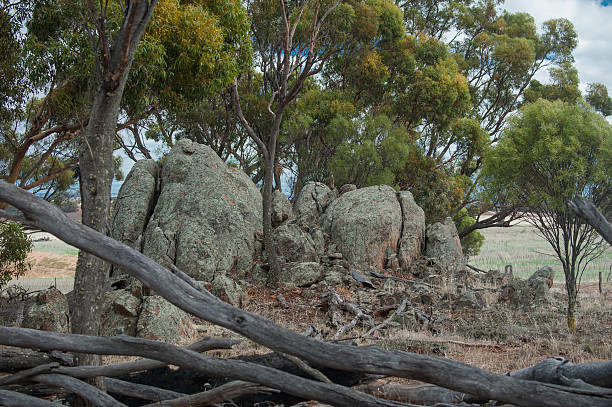 istock The Rocks in the Reserve 473443880