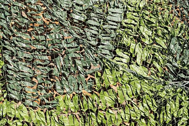 istock dense camouflage grid of green color 473444254