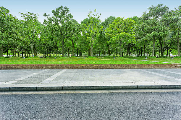 calle urbana con verde de los árboles - tree area fotografías e imágenes de stock