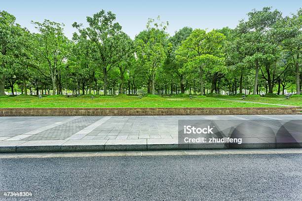 Urban Road With Green Trees Stock Photo - Download Image Now - Street, Tree, Side View