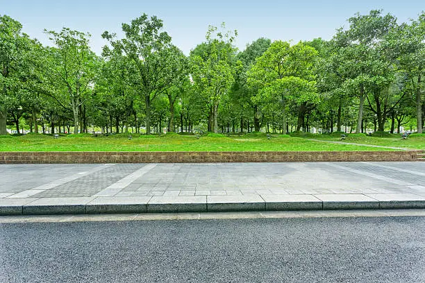 Photo of urban road with green trees